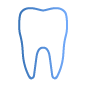 Dental Websites